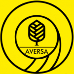 aversa_resin