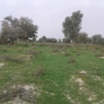 روستای گنجی