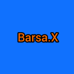 Barsa X