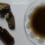 روغن کندش