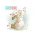 liven land