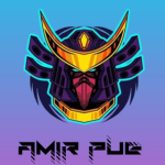 Amir_PUE