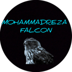 MOHAMMADREZA FALCON