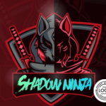 Shadow ninja