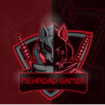 Mehrdad gamer