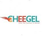 چیگل، اولین تجارت آن لاین بین المللی کالای ایرانی