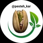 pesteh_kar