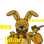 HackerGamer303