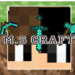 M.s craft