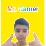 (Mr. (Gamer