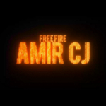 AMIR CJ