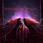 Mohammad gamer