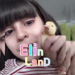 Elin land