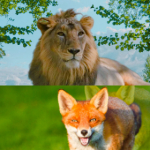 FOX KING