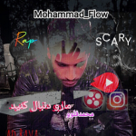 mohammad_flow