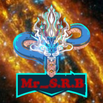 ¥$MR S.R.B$¥