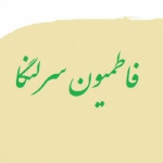 علی آهگریان(هیت فاطمیون سرلنگا)