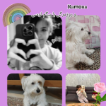 Ramona و روزمرگی با سگ لوسی