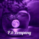 P.b_company