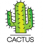 bazar cactus