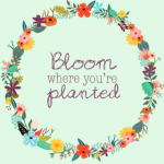 bloom_educational