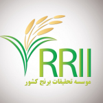 موسسه آموزش و ترویج - موسسه تحقیقات برنج کشور