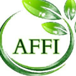 Affi