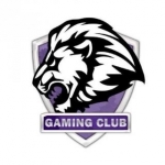 Gaming club