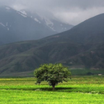 همگردی آذربایجان