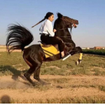 Iranian_horse1