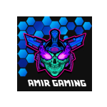 AMIR GAMING