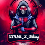 Amir_X_Viking