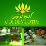 گلدن لوتوس -GOLDEN LOTUS