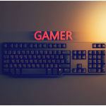 GAMER