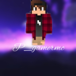 p_gamermc