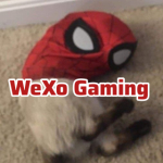 WeXo gaming