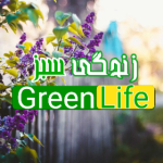 زندگی سبز