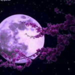 purple moon