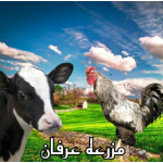 مزرعه عرفان