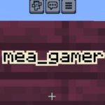 mea_gamer