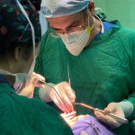 دکتر مجید عبدل زاده | بهترین جراح پلاستیک تهران