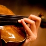 violin