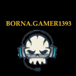 BORNA.GAMER1393