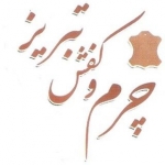 کفش نیوز