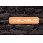 HoSsein_gang_022