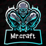 Mr.craft