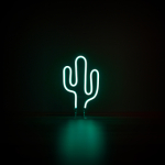 CACTUS_BACTERI