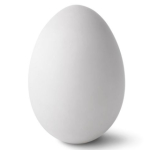 Amir_egg