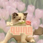 quinn_RG