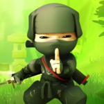 Ninja